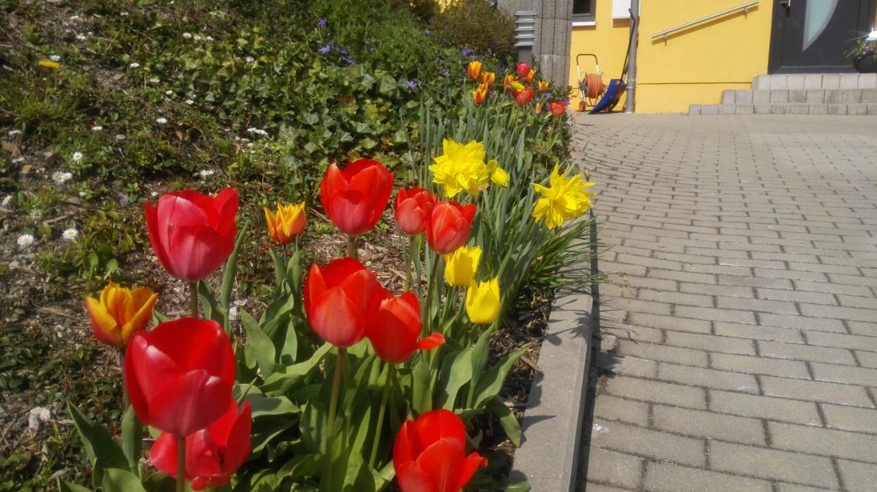 Ferienwohnung Oberpfannenstiel Bernsbach ภายนอก รูปภาพ